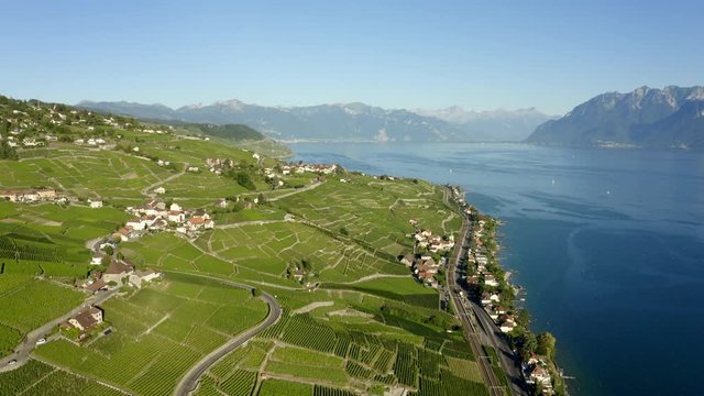 Acres Of Green Farmlands And Vineyard In Lavaux Switzerland - aerial shot