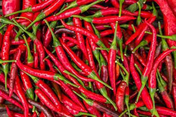 bitter red pepper on wooden background