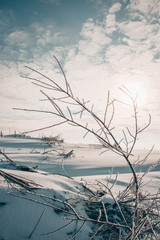 Snow-covered fallen branch on a winter plain against the background of the sun.