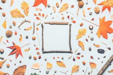 Tree branches frame and autumn season decoration flay lay