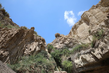 Fototapeta na wymiar Ein Gedi National Park. Oasis of the Judean Desert. 