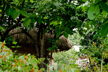 The beautiful countryside house and road in the forest.