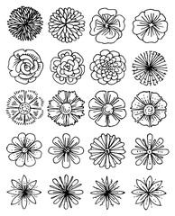 Flowers. Outline hand drawing. Set. Isolated vector object on white background. Beautiful objects for the pattern. Naive simple style. Ink.