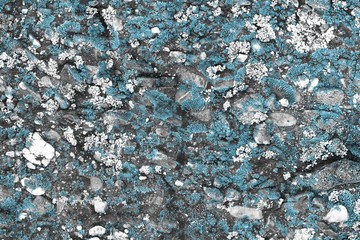 light blue aged dirty mossy wall texture - fantastic abstract photo background