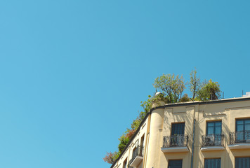 Minimal photo of old building's rooftop with greenery at Lavapies district. Cozy eco living downtown of Madrid, Spain
