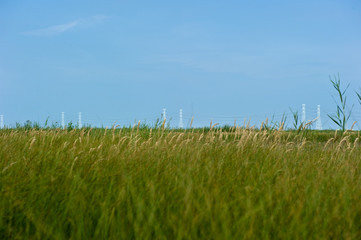 Thr landscape of green field and agtated torpedo.