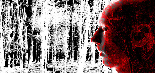 Fototapete bei efototapeten.de bestellen   