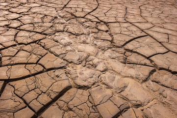 Cracked earth in reclaimed land