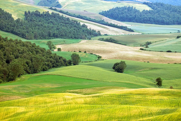 Summer landscape of Tuscany landscape, Italy