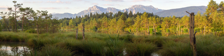 Panorama of the Schoenramer Filz high moor at dawn, with the Hochstaufen mountain range in Upper Bavaria, South Germany