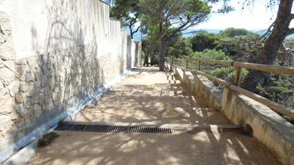 Camino de Ronda 2020