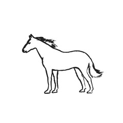 Vector sketch horse icon isolated on white