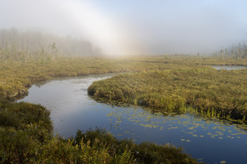 Fototapeta na wymiar Morning mist rising from Canadian lake landscape 