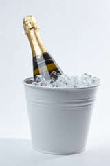 Champagne bottle in a bucket