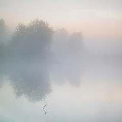morning mist on the river