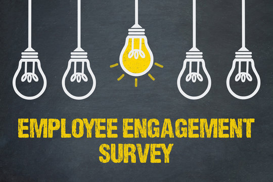 Employee Engagement Survey 