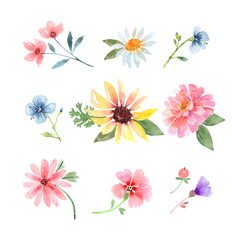 set of watercolor multicolored flowers on a white background.