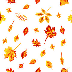 Seamless pattern. Vector illustration. Autumn leaves.