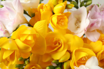 Beautiful colorful freesia bouquet as background, closeup