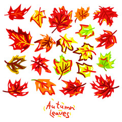 Seamless pattern. Vector illustration. Autumn leaves.