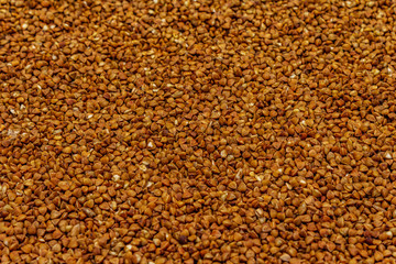Dry buckwheat grain background