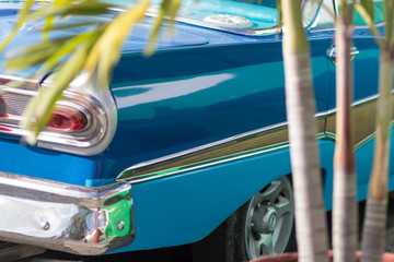 Blue classic car with tropical palm tree