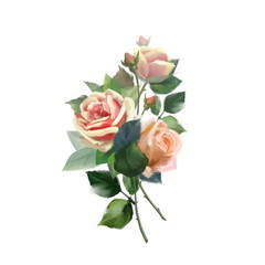 Hand drawn flowers. Bouquet of roses isolated on white