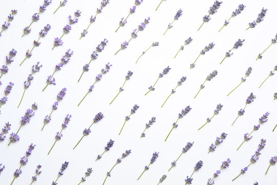 Beautiful lavender flowers on white background, flat lay © New Africa