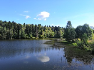 lake and forest