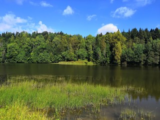 lake in the forest
