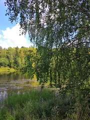 lake in the woods
