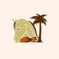 Arabian Desert Horse Logo Illustration