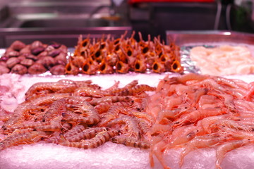 Shrimps and shellfish for sale at the market