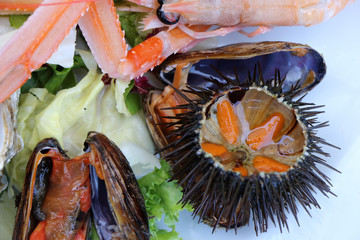 Fresh seafood platter. Mussels, shrimps, Norway lobster, sea urchins, oysters. Puglia food