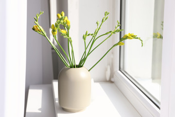 Beautiful yellow spring freesia flowers on window sill in room