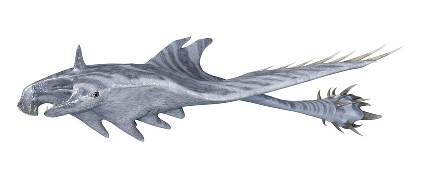 3D Rendering Devil Ray On White