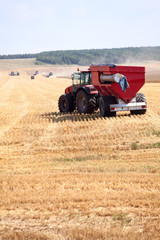 Fototapeta premium Tractor and combine harvesters working on a wheat field. Harvesting the wheat. Agriculture machinery.