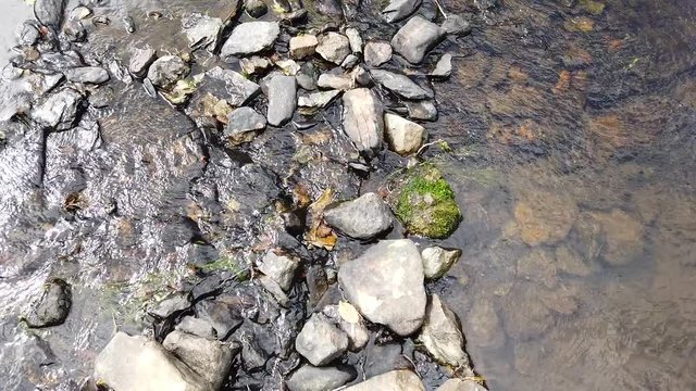 Belgique Wallonie Ardenne eau environnement flore cailloux pierre