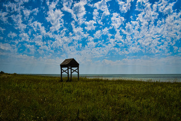 giant bird house in a medow