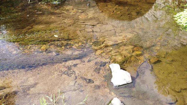 Belgique Wallonie Ardenne eau environnement flore cailloux pierre