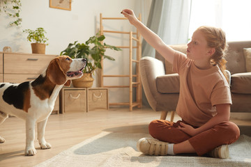 Warm toned side view portrait of cute red haired girl playing with dog while sitting on floor in...