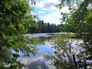 lake in the forest