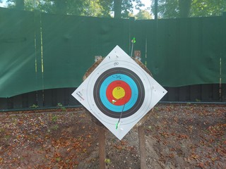 Arrows in the board after a practice round of archery