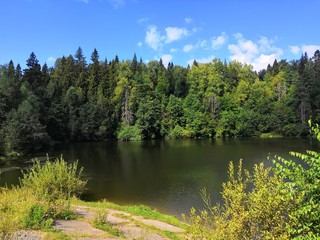 lake in the forest