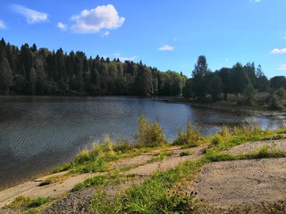 lake in the forest