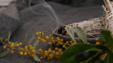 Dried white sage smudge stick, relaxation and aromatherapy. Smudging during psychic occult ceremony, herbal healing, yoga or aura cleaning. Essential incense for esoteric rituals and fortune telling