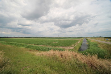 Rowing lane in the Eendragtspolder as water storage for Rotterdam.