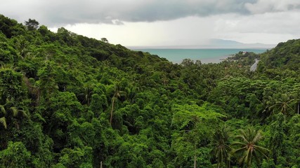 Fototapeta na wymiar Overcast sky over tropical island. Gray cloudy sky, green palms on Koh Samui during wet season in Thailand. Drone view. Flying over wild rainforest and jungle near paradise ocean beach. Storm in Asia