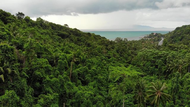 Overcast sky over tropical island. Gray cloudy sky, green palms on Koh Samui during wet season in Thailand. Drone view. Flying over wild rainforest and jungle near paradise ocean beach. Storm in Asia