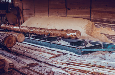 Sawmill. Process of machining logs in sawmill machine saws the tree trunk